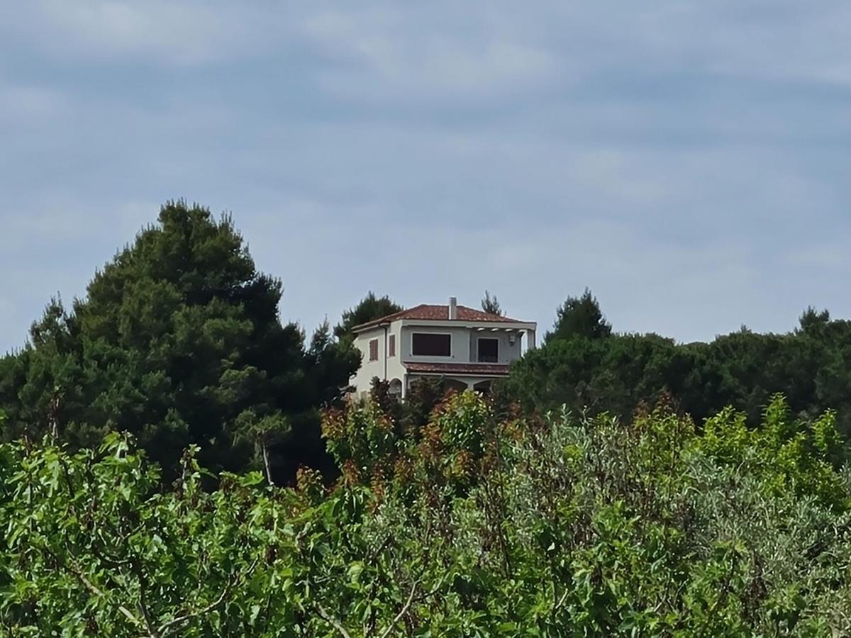 Alghero - House With Panoramic View Immersed In Full Nature Екстер'єр фото